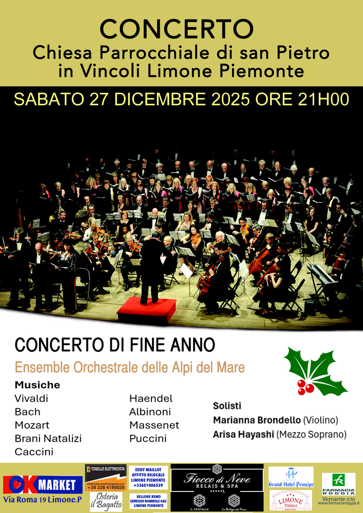 Affiche du concert 2025 de Tende